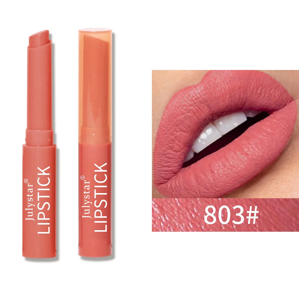New Matte Waterproof Velvet Nude Lipstick Long Lasting Moistening Sexy Red Brown Pigments Makeup Professional Lip Tint Cosmetics